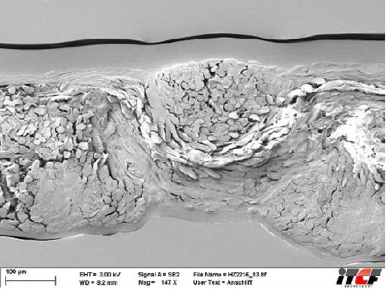 Ausschnitt aus einer Mikroskop Vergrößerung von Cellulose Verbund Werkstoff